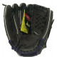 ST12DSPUR (Rawlings)